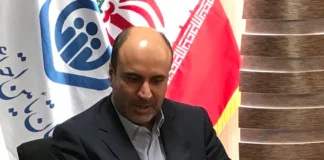 نادریعلیزاده باری دیگر مدیرعامل تیپیکو شد