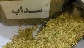 هشدار سازمان غذاودارو نسبت به تقلب در عرضه گیاه سداب در عطاریها