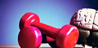 چگونه با ورزشکردن پیری مغز را به تاخیر بیندازیم؟