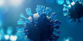 ابتلای یک مورد انسانی دیگر به آنفلوآنزای پرندگان