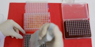 ایجاد ذخیره جدیدی از واکسن آنفلوآنزای پرندگان در آمریکا