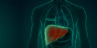 نتایج موفق یک درمان ترکیبی برای کاهش پیشرفت سرطان کبد