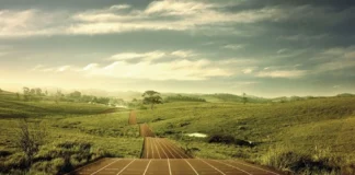 ۷۶ درصد پلاک مغزی کمتر: ورزش هوازی ممکن است بهتر از داروی آلزایمر عمل کند