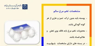 چگونه تخممرغ تازه و سالم را از تخممرغ فاسد تشخیص دهیم؟