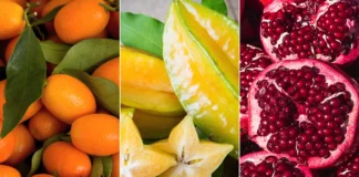 میوههای زمستانی مملوّ از فایده برای سلامتی