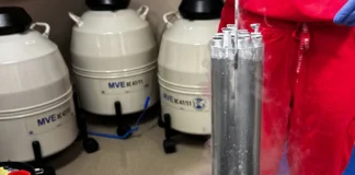دستور ترامپ برای گسترش دسترسی به IVF