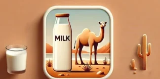 چرا شیر شتر جایگزین بزرگ بعدی لبنیات تقویتکننده سیستم ایمنی خواهد بود؟