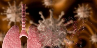 یک آنتیبیوتیک جدید نویدبخش درمان موثر سل