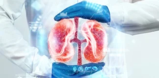 کلید حفظ سلامت کلیهها و پیشگیری از سرطان کلیه