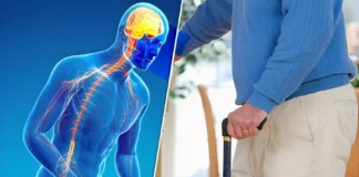 به مناسبت ۱۱ آوریل؛ روز جهانی پارکینسون/ افزایش آمار مبتلایان به پارکینسون در کشور به بیش از ۲۵۰ هزار مورد
