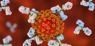 توافق درباره یک معاهده برای آمادگی در برابر پاندمیهای آینده در شُرف وقوع است