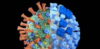 تشدید اقدامات مراقبتی برای مقابله با بیماریهای حاد تنفسی با تمرکز بر کرونا و آنفلوانزا