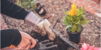 سه دقیقه فعالیت متوسط روزانه ممکن است خطر بروز حوادث قلبیعروقی را کاهش دهد