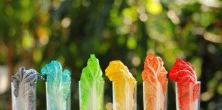 هشدار پزشکان اماراتی درباره خطرات رنگهای خوراکی