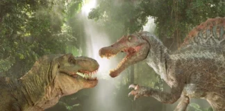 آیا فسیل دایناسوری ۷۰ میلیون ساله میتواند کلید کشفهای جدید در زمینه سرطان باش