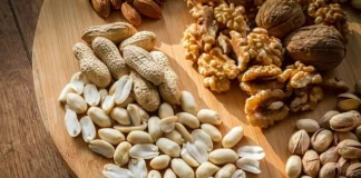 آیا مصرف مغزدانهها در دوران بارداری ممنوع است؟ پاسخ: خیر، مصرف آنها بیخطر است