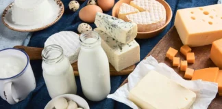 هشدار درباره تب مالت: خطر مصرف لبنیات محلی غیر پاستوریزه