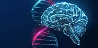 دانشمندان درمان نویدبخش جدیدی برای آلزایمر کشف کردند