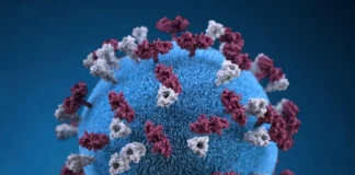 مرگ یک نوزاد بر اثر سرخک در استان انتاریو کانادا