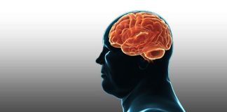 داروی جدید شرکت Rhythm امیدبخش در درمان چاقی ناشی از آسیب مغزی