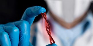 نظارت سختگیرانه بر ورود محصولات غذایی تراریخته به کشور