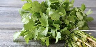 گشنیز: گیاهی با خواص ضدالتهابی، کاهش اضطراب و تنظیم قند خون