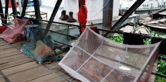 بحران همزمان دنگی و چیکونگونیا در بنگلادش