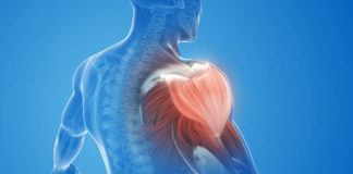 تحلیل عضلات بدن از ۳۰ سالگی با کاهش ۱۰ درصدی در هر دهه