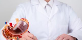 موفقیت جراحی اسلیو معده در گرو تیغ جراح نیست؛ تغذیه و مشاوره، کلید سلامت بیمار