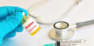 هاری ۱۰۰درصد کشنده اما قابل پیشگیری