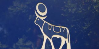 کارآزمایی نووُ نوردیسک برای بررسی اثر داروی ضدچاقی در درمان آلزایمر