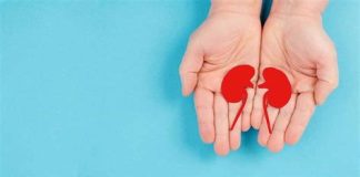 افزایش مدت بقای بدون پیشرفت بیماری در بیماران مبتلا به سرطان کلیه با درمان ترکیبی مرک و ایسای