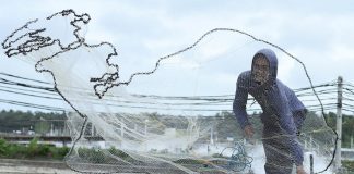 میگو و ادویه اندونزی در فهرست کنترل FDA؛ گواهی ایمنی اجباری شد