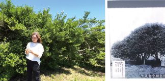 ترکیبی از سنت و زیستفناوری: جانات پاریس چای سیاه پیشرفته خود را معرفی کرد