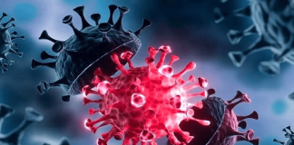 افزایش مرگومیر با سویه جدید واکسنگریز آنفلوآنزا