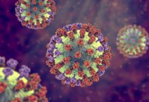 خطر انتقال آنفلوآنزا تا ۷ روز پس از ابتلا / مصرف خودسرانه دگزامتازون میتواند مرگبار باشد