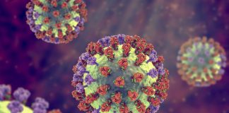 خطر انتقال آنفلوآنزا تا ۷ روز پس از ابتلا / مصرف خودسرانه دگزامتازون میتواند مرگبار باشد