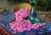 گلاب؛ از کاهش استرس تا خواص ضدالتهابی