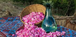 گلاب؛ از کاهش استرس تا خواص ضدالتهابی