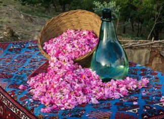 گلاب؛ از کاهش استرس تا خواص ضدالتهابی
