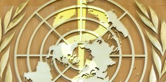 ترجیح رژیم غذایی و فعالیت بدنی بر داروهای کاهش وزن در نخستین دستورالعمل جهانی چاقی کودکان